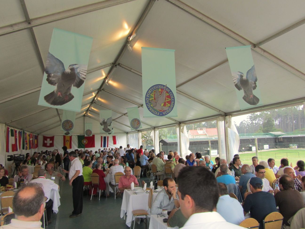 BENZING One Loft Race