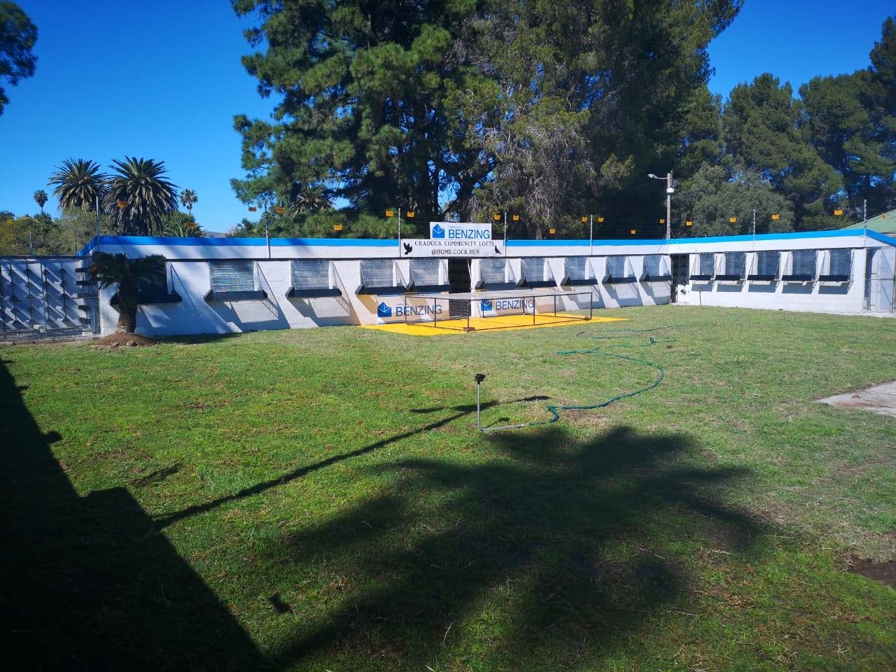 BENZING One Loft Race